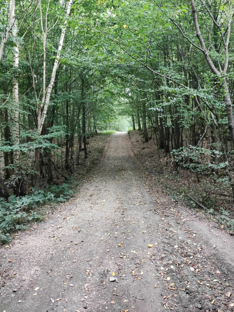 Circuit des trois forêts - Saint-André-de-l'Eure