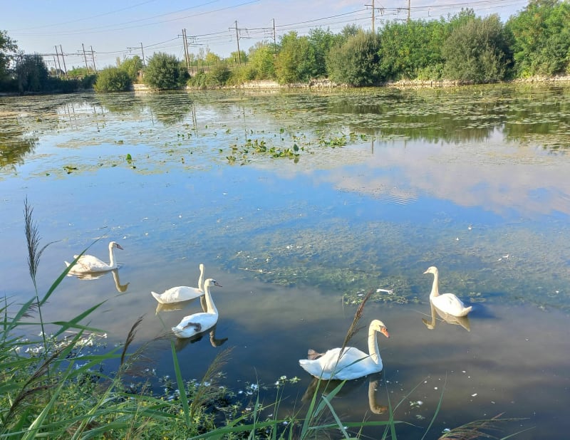 Randonnée VIERZON mi-ville mi-campagne - Vierzon