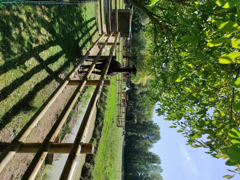 Tour de la ferme pédagogique et du lac - Romilly-sur-Seine