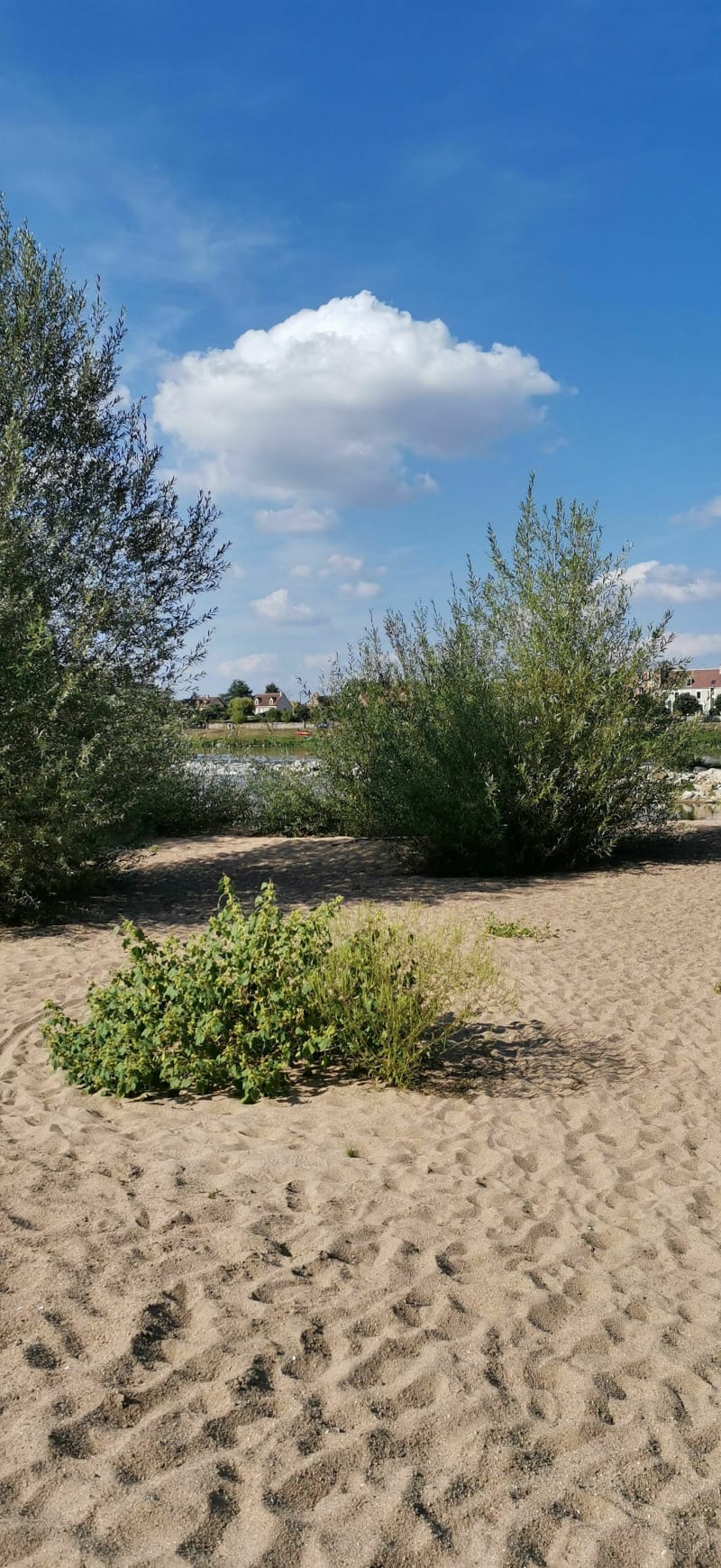 Tour de l'île à Gaston - Châtillon-sur-Loire
