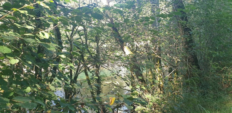 La boucle du pont du diable - Oloron-Sainte-Marie