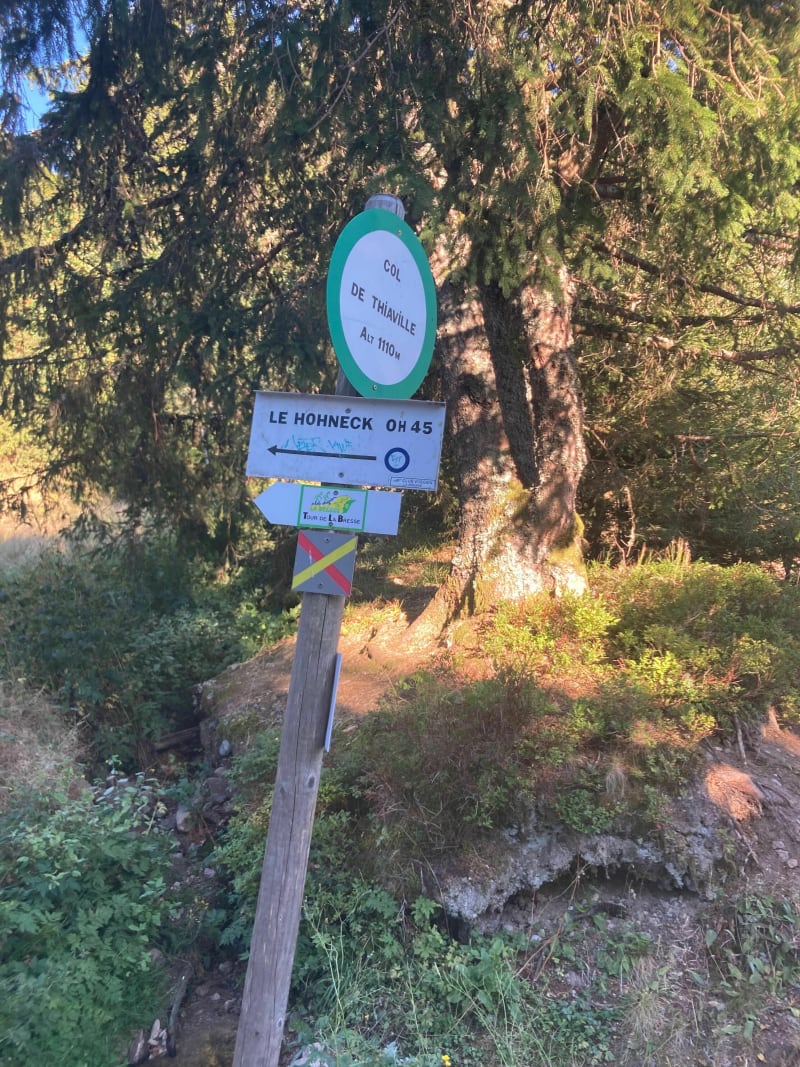 Montée du lac de Xonrupt au sommet du Honneck - Xonrupt-Longemer