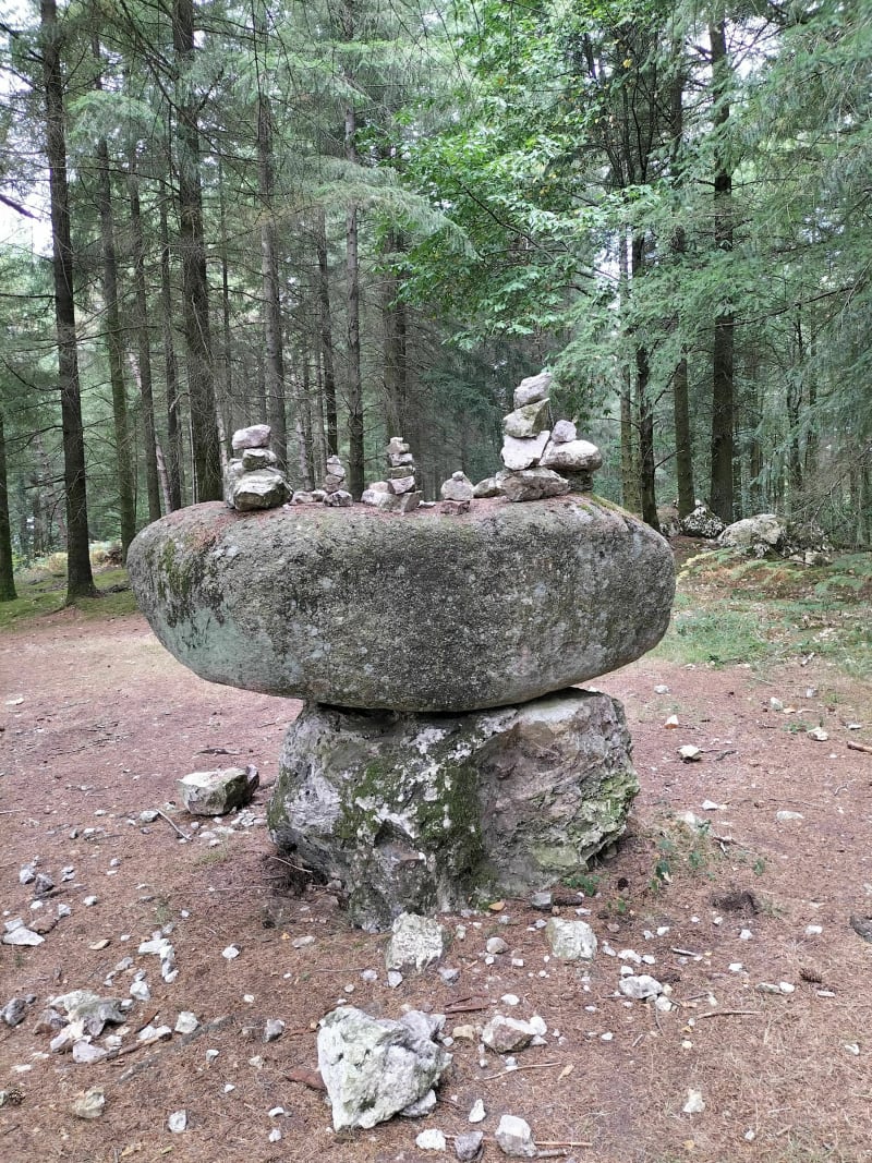 Balade sylvicole à Montrollet - Montrollet