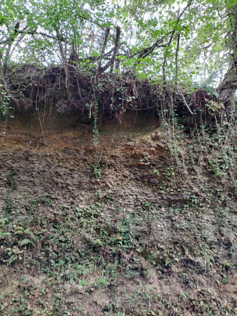 Ballade dans les champs et sous les bois à Hagetaubin - Hagetaubin