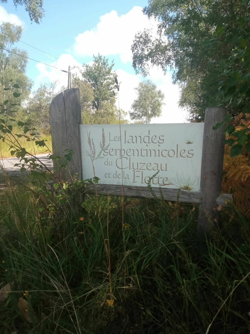 Les Landes serpentinicoles du Cluzeau et de la Flotte - Meuzac