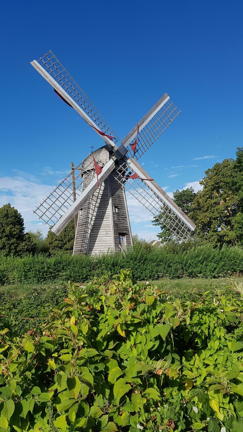 Petit balade à la maison du marais - Saint-Martin-lez-Tatinghem