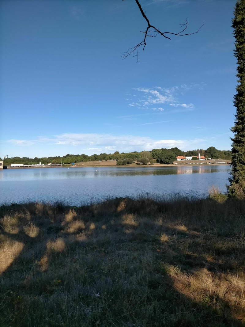 Gravel dans la forêt  Chaize le vicomte  lac moulin Papon - La Merlatière