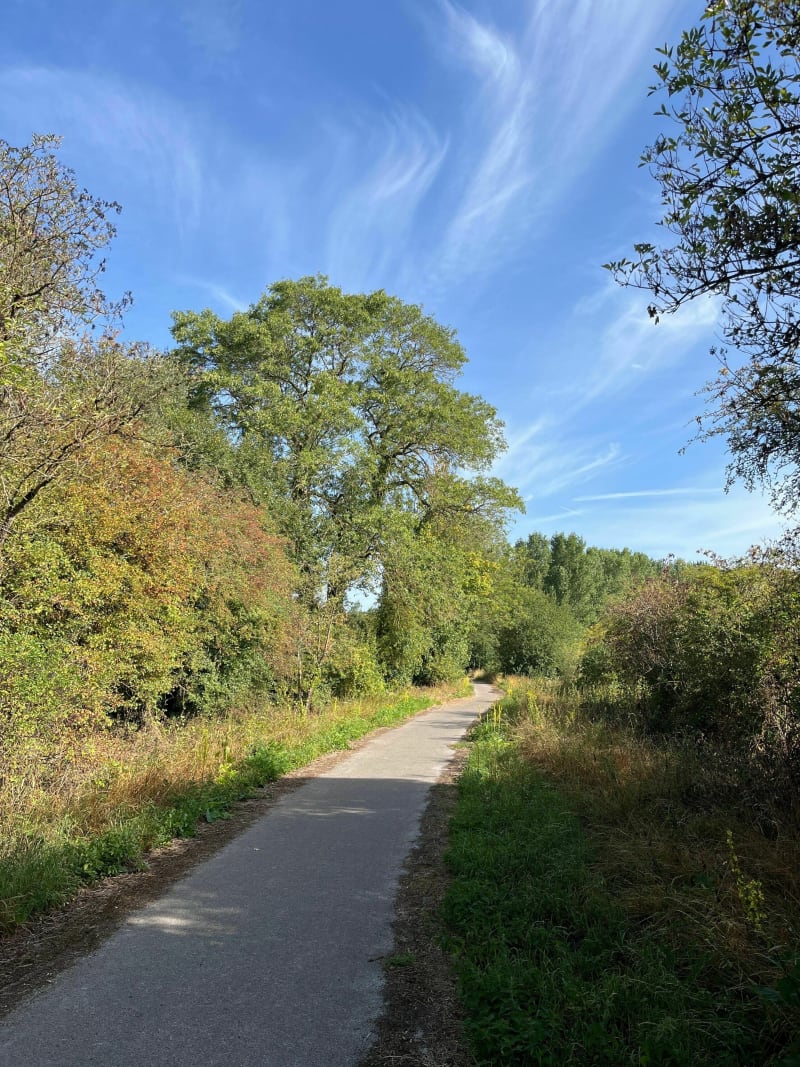 Promenade le long de la Voie Verte des Gueules Noires - Vieux-Condé