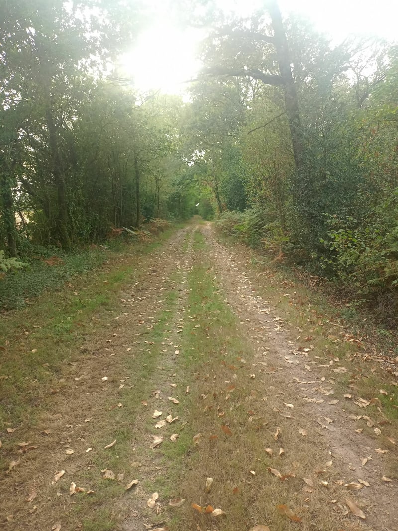 Sentier de la minière - Ombrée d'Anjou
