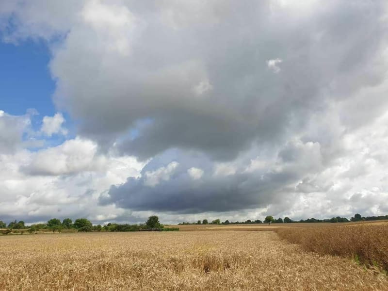 Belle balade autour de Chasseneuil dans l'Indre - Chasseneuil