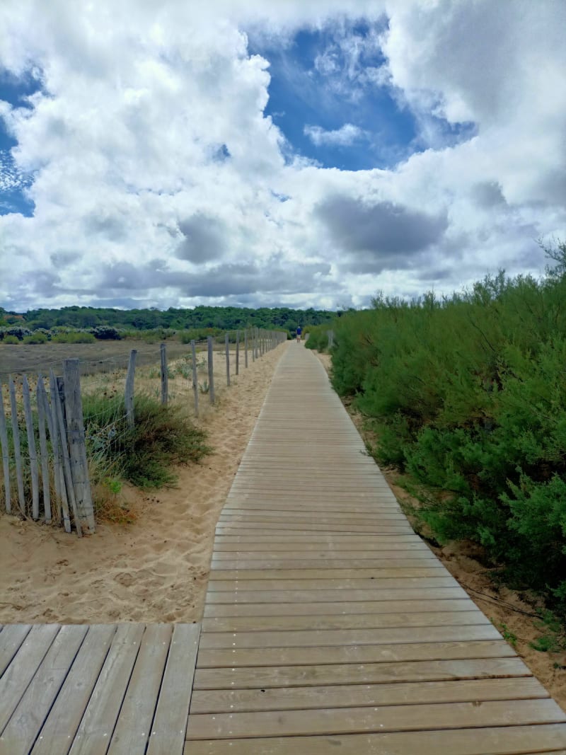 De Ondres a la plage du Métro - Ondres