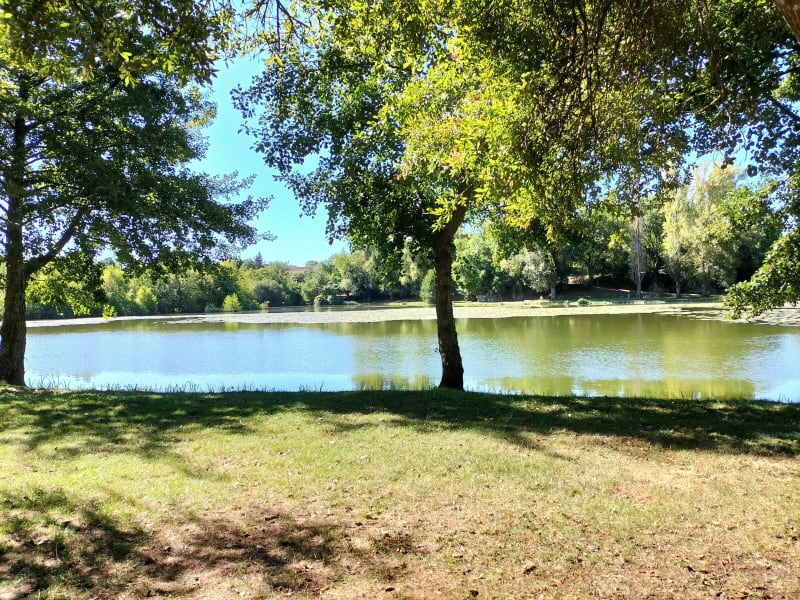 L'étang de Lussac - Lussac les Château