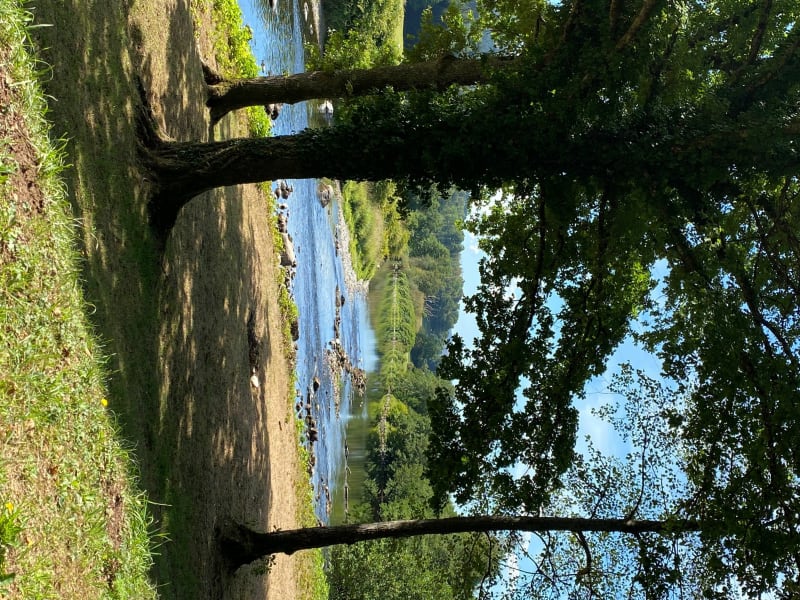 Balade à l'étang de la Prairie Vouau - Saint-Nabord