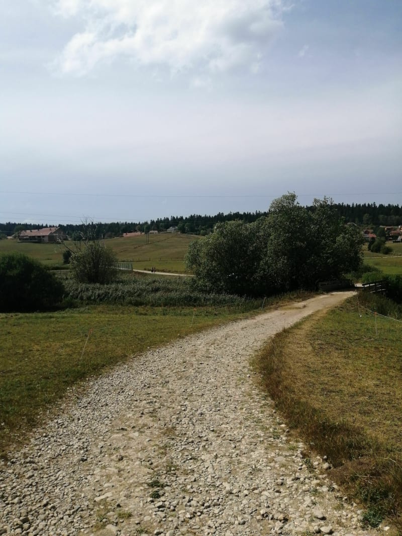 Tourbières de Prénovel et 2 Belvédères - Nanchez
