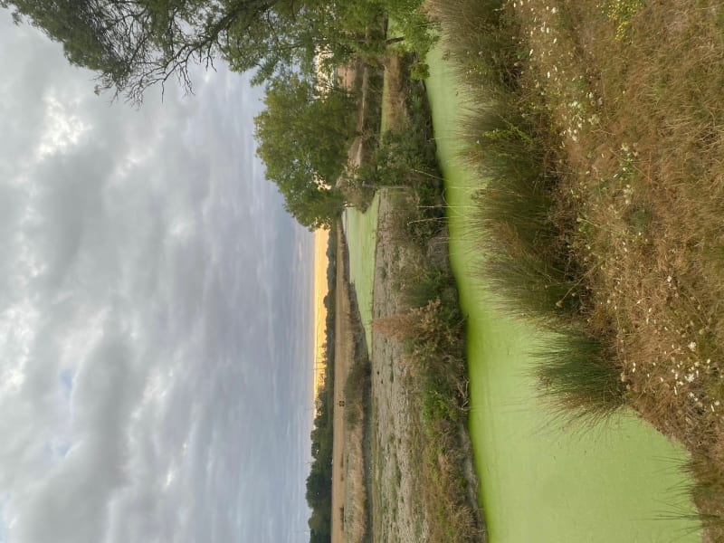 Entre terre et mer à Longeville - Longeville-sur-Mer