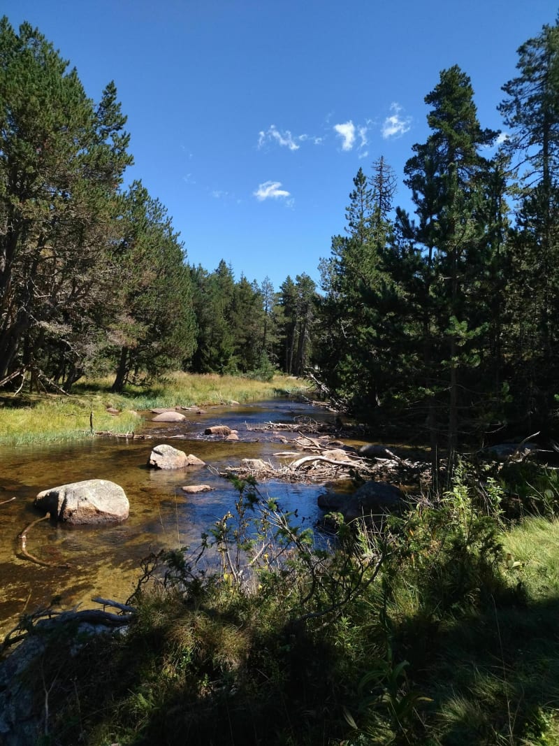 Petite balade familiale pour une petite baignade - Bolquère
