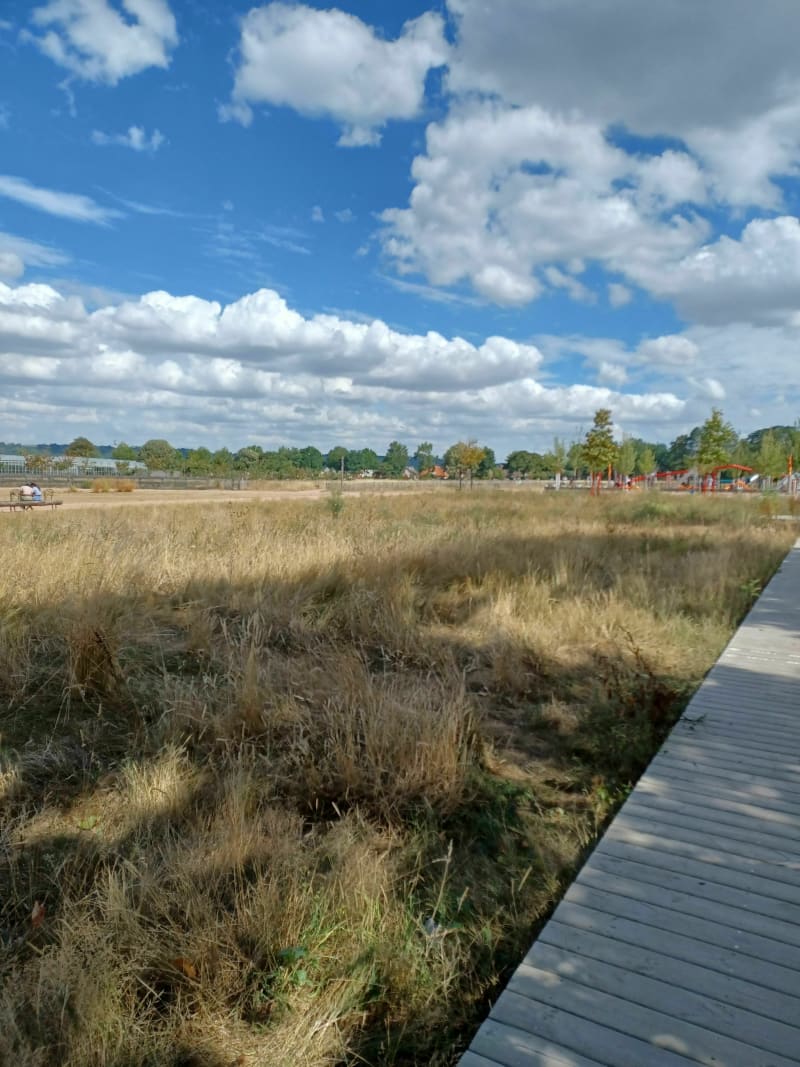 Champ des Bruyères - Saint-Étienne-du-Rouvray