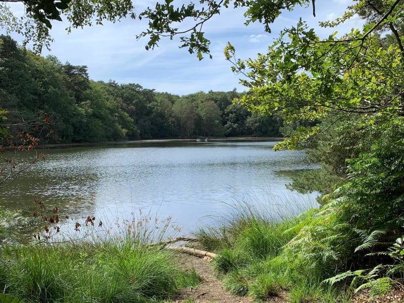 Tour du lac de Trémelin - Iffendic