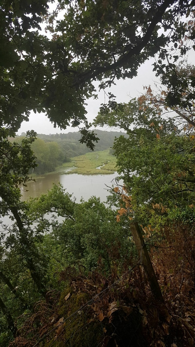 Belle balade depuis Yffiniac - Yffiniac