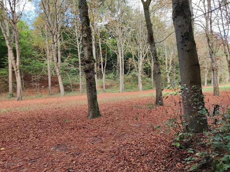 Le Zéphirin Tour Survilliers - Survilliers