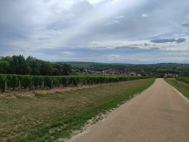 Promenade Varennes Maligny Ligny - Varennes