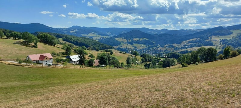 Du col de Chamont à la Grande Roche - Lapoutroie