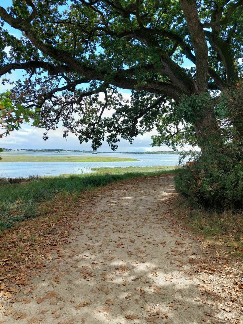 Les Rives du Vincin à Conleau - Vannes