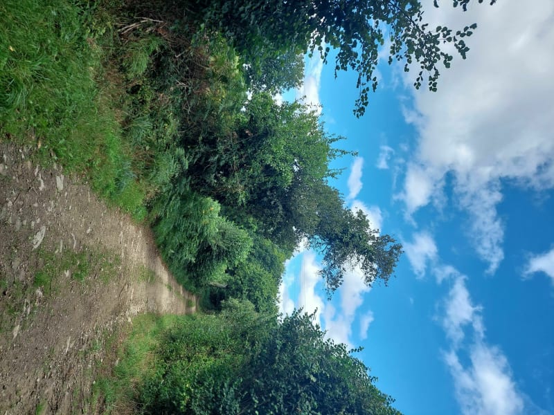 Autour de Guilers à Vtt - Brest