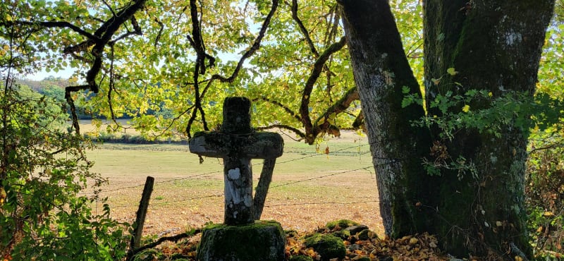 Rando Milan, en sous bois et vue sur les volcans - Courdes