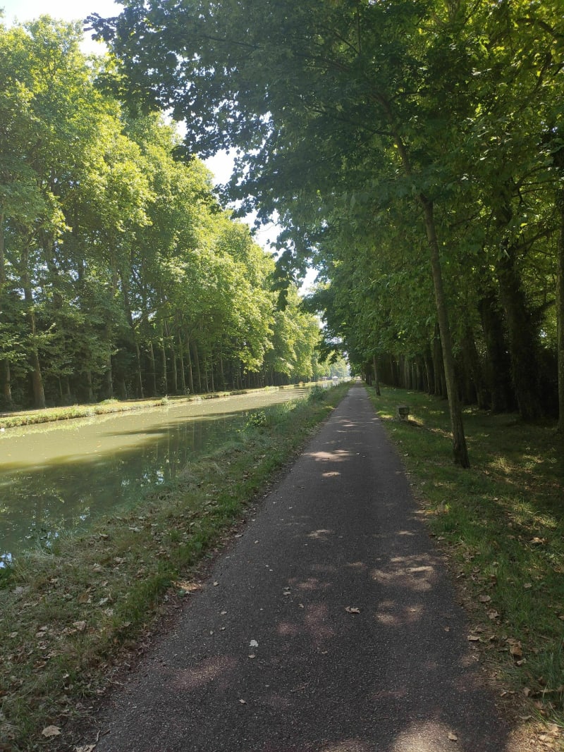 Bord du canal de la jonction - Nevers