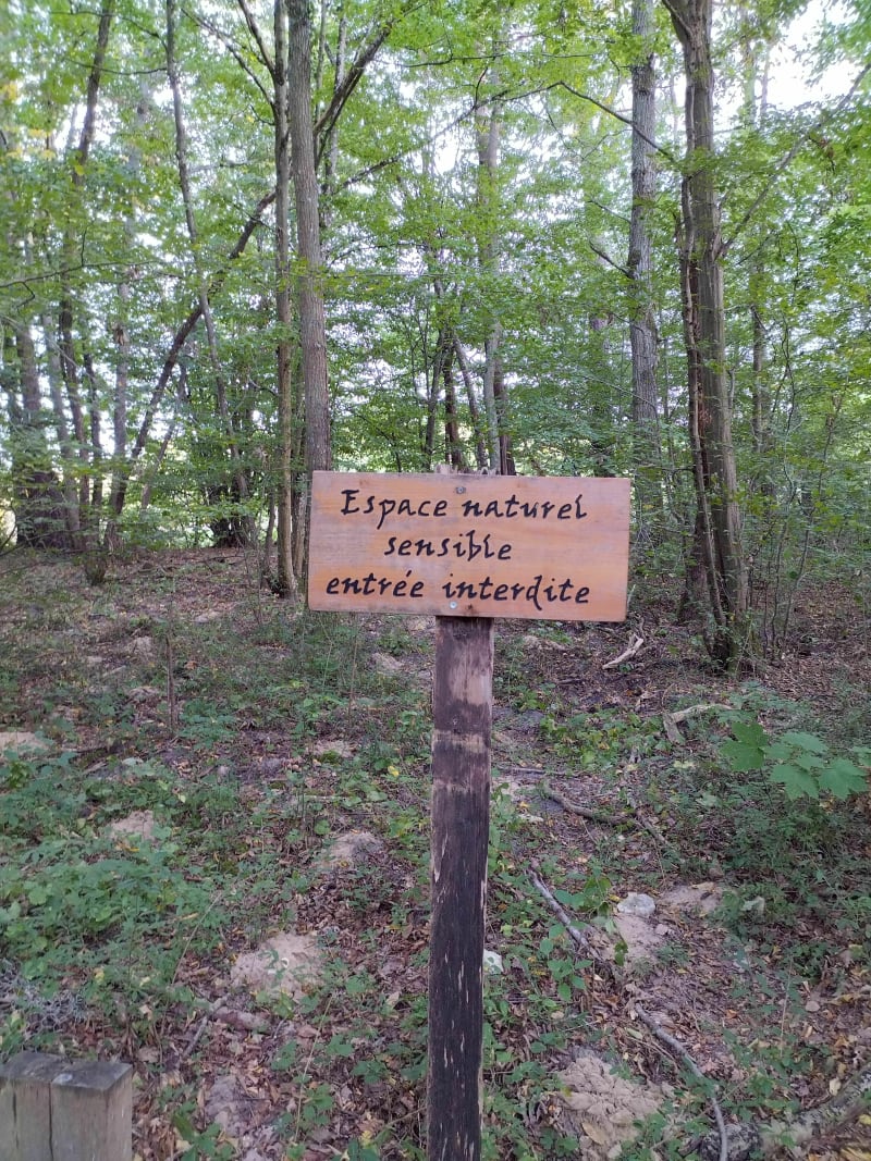 Eaux et forêts - Saint-Mammès