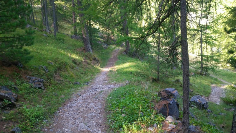 Le tour des alpages de ceillac en famille - Ceillac