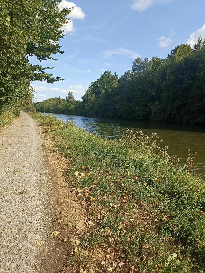 Balade sur le long du canal - Violaines