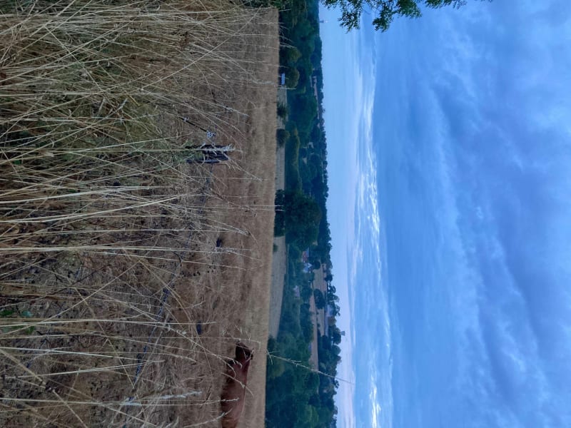 Balade bocage de Saint Planchers - Saint-Planchers