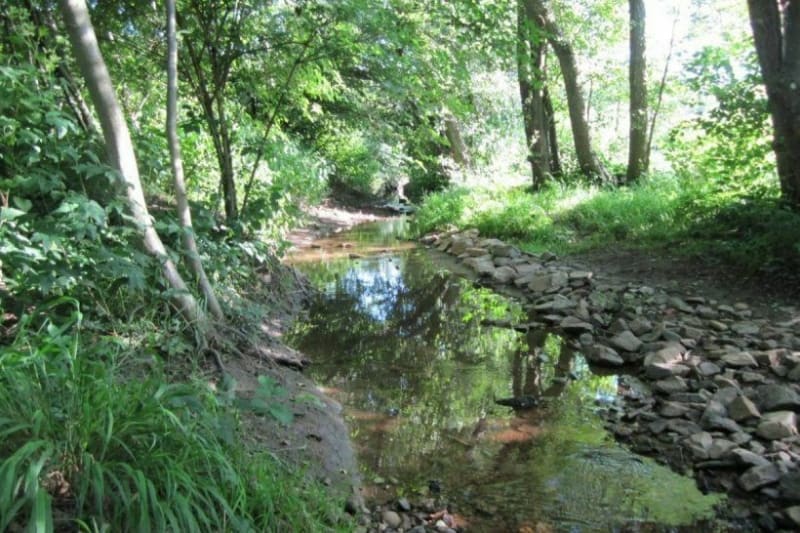 Wandeling in het bos bij Cailloux-sur-Fontaine - Cailloux-sur-Fontaines