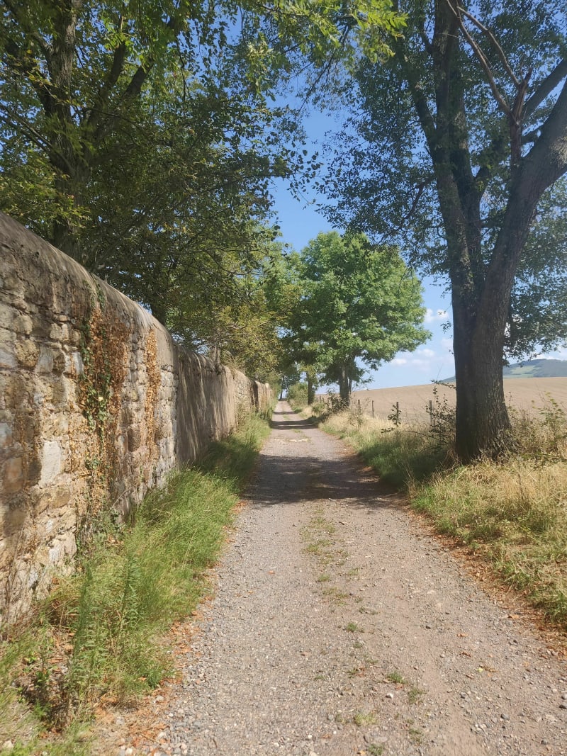 Aux alentours de St Jean Bonnefonds - Saint-Jean-Bonnefonds