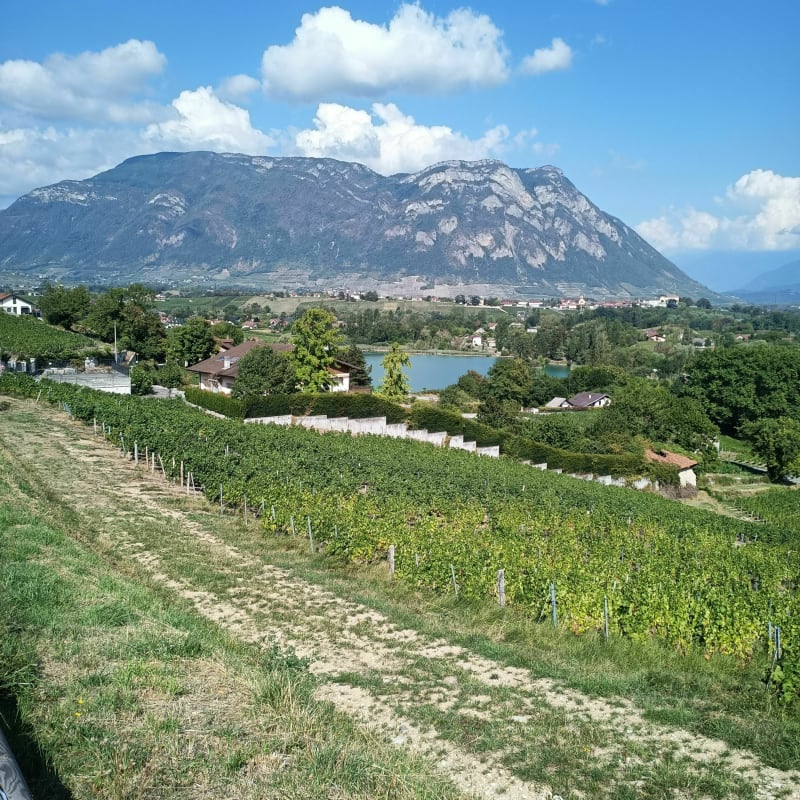 Randonnée des diots - Chambéry