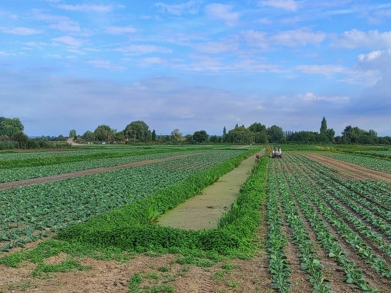 Balade de la Longue Lègre dans le marais maraîcher - Saint-Omer