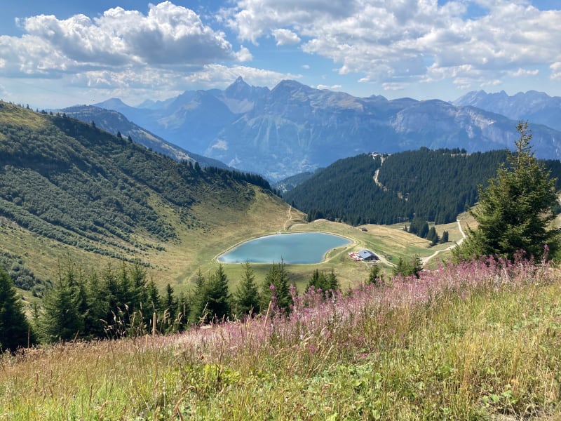 Balade des marmottes - Arâches-la-Frasse