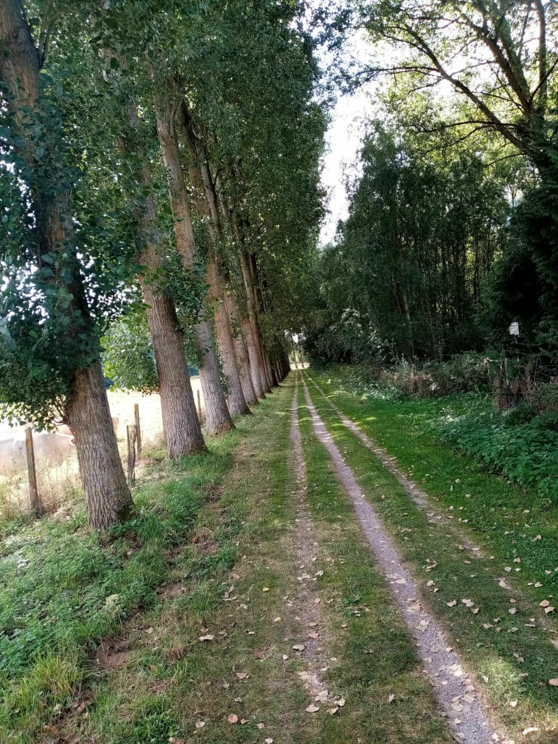Parcours roulant Auchy les Hesdin- Aubin - Auchy-lès-Hesdin