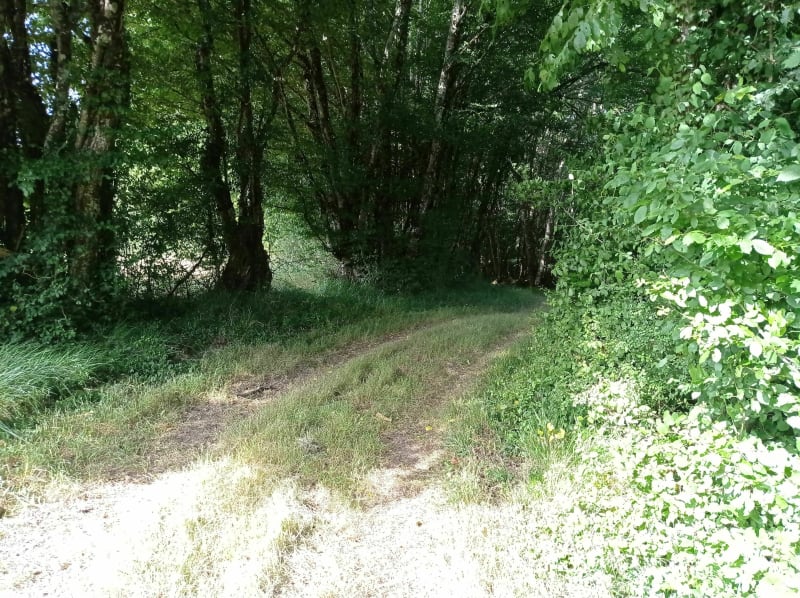 Parcours des papillons - Thenay