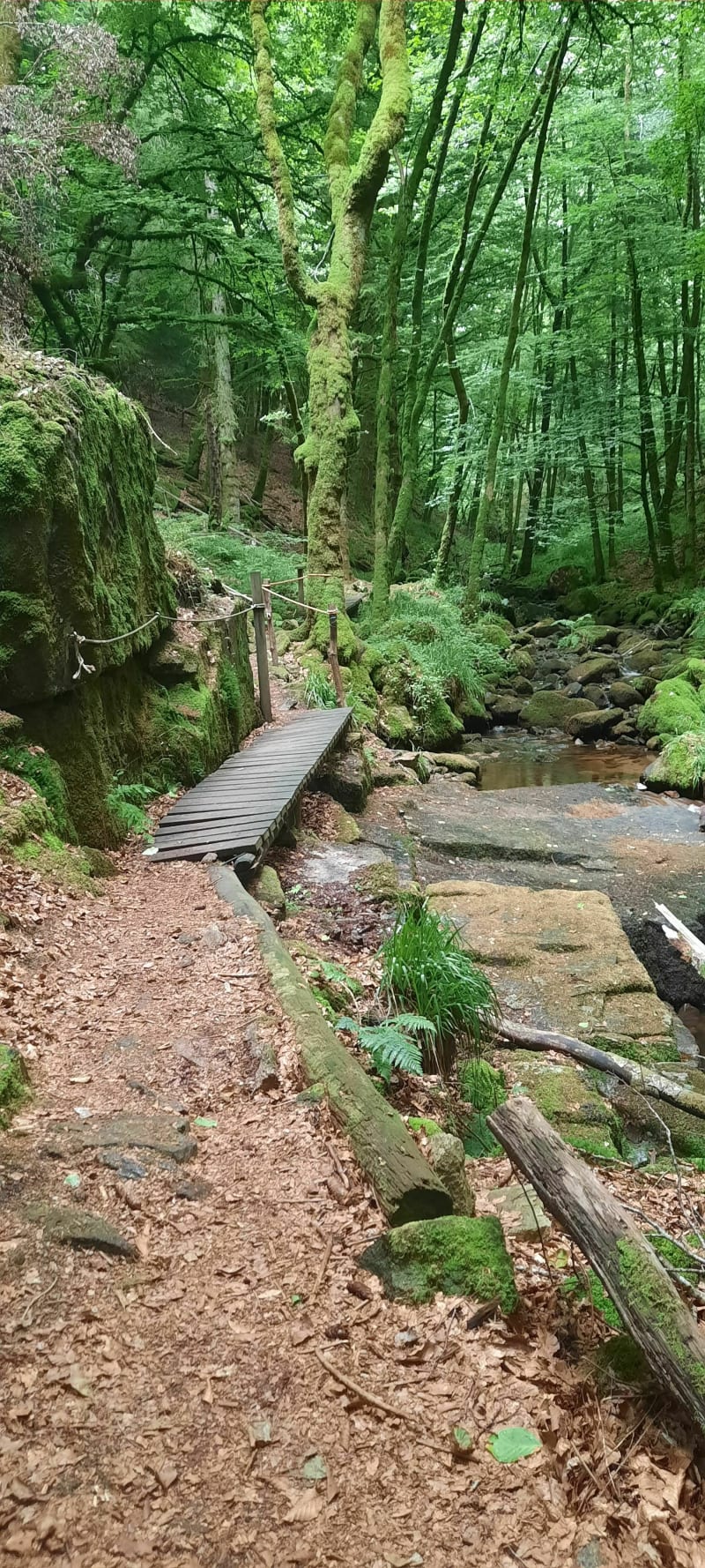 Cascade de la Tine - Pradines