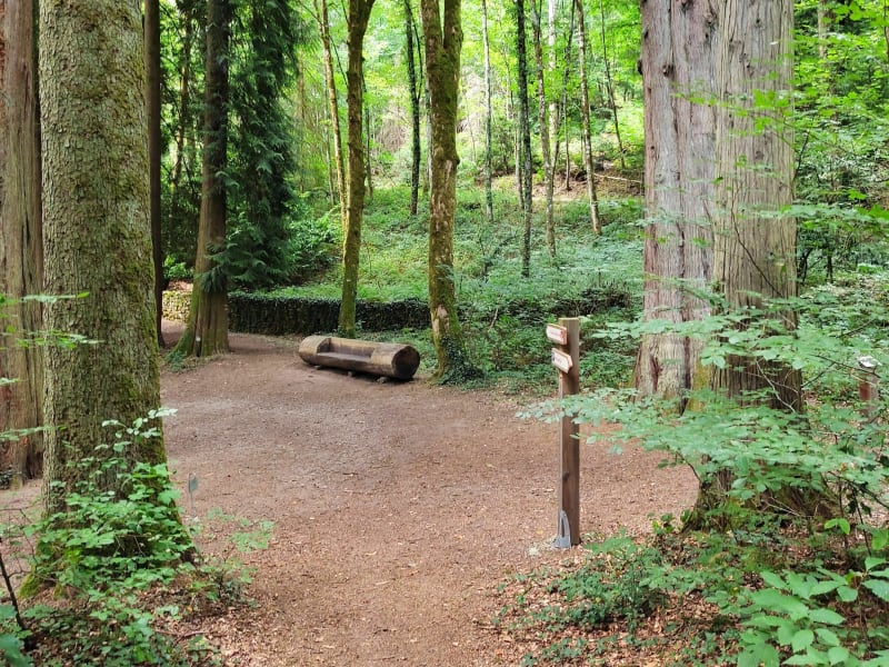 Autour de l'arboretum de la Jonchère - La Jonchère-Saint-Maurice