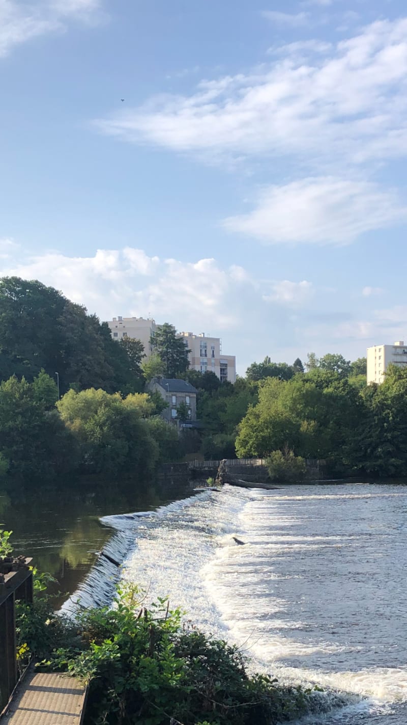 Petit tour des ponts le long de la Vienne - Limoges