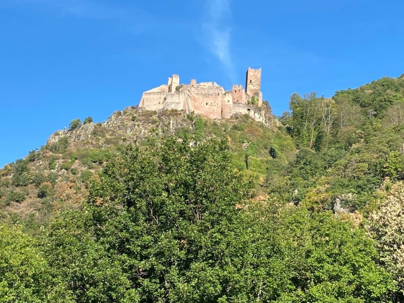 Vers le château Saint-Ulrich de Ribeauvillé - Ribeauvillé