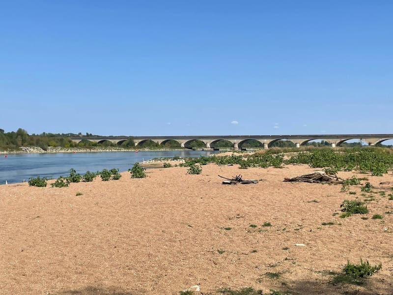 Balade sur l’île de Rochefort - Chalonnes-sur-Loire