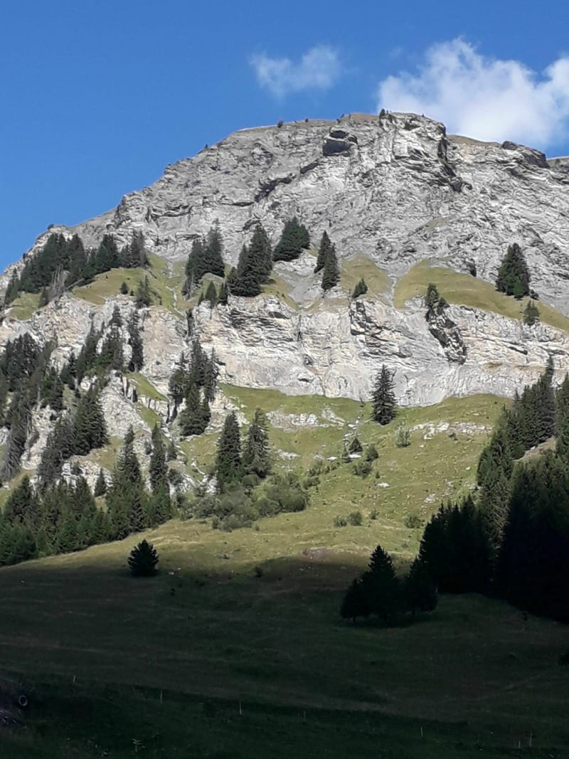 Balade sur la Roche Pastire - Beaufort
