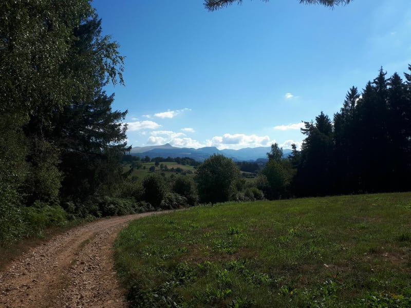 Entre Massangis et La Pailloncy - Avèze