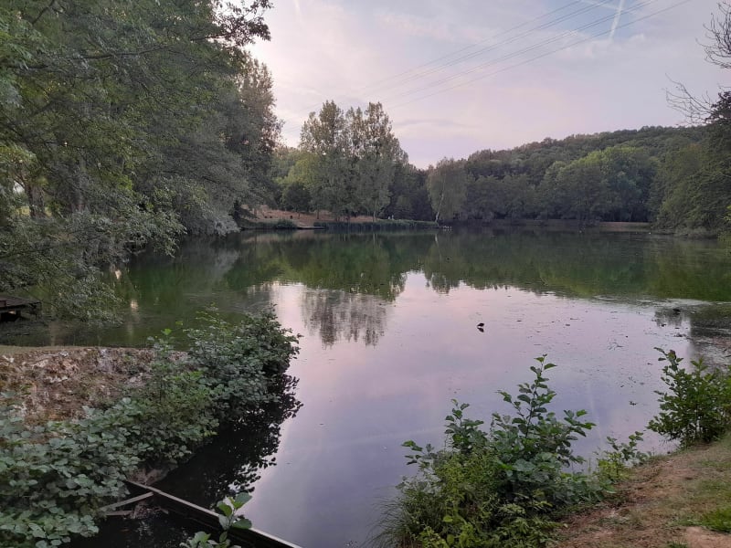 Wandeling Elancourt: de Muette-vijver, de St Médar-kerk - Élancourt