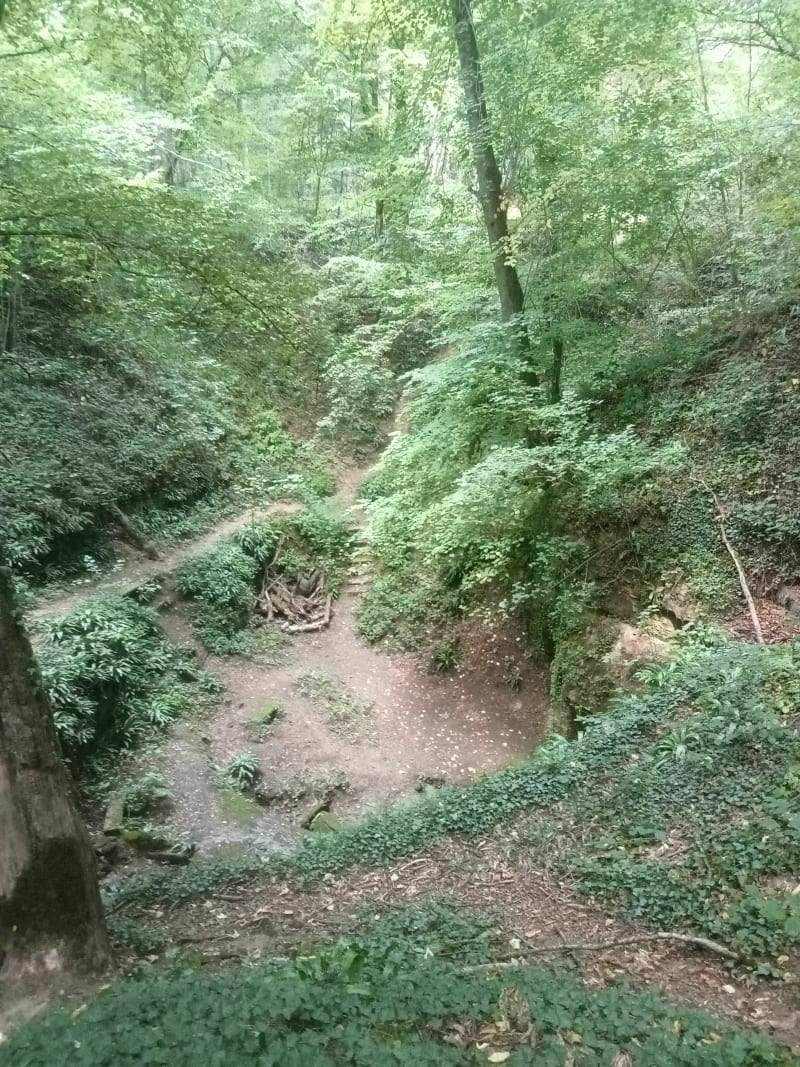 Boucle par la Grotte des Sarrasins - Chamouilley